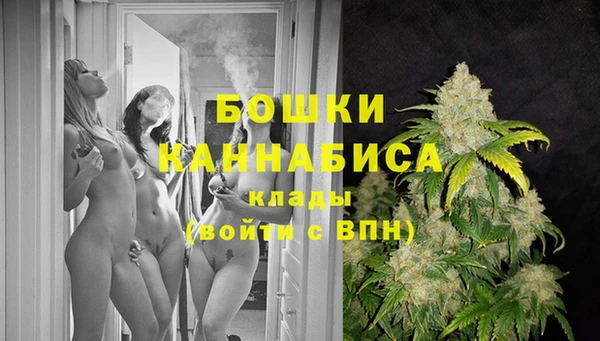 сатива Алзамай