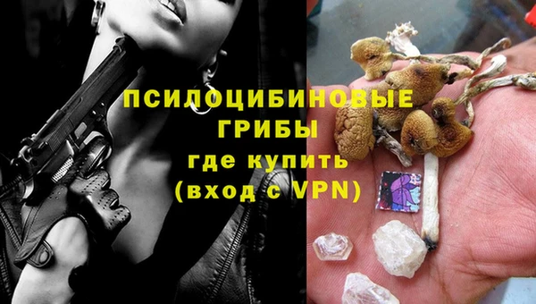 сатива Алзамай
