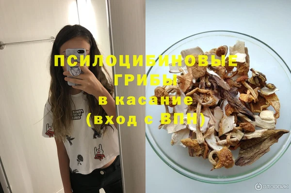 ПСИЛОЦИБИНОВЫЕ ГРИБЫ Белая Холуница