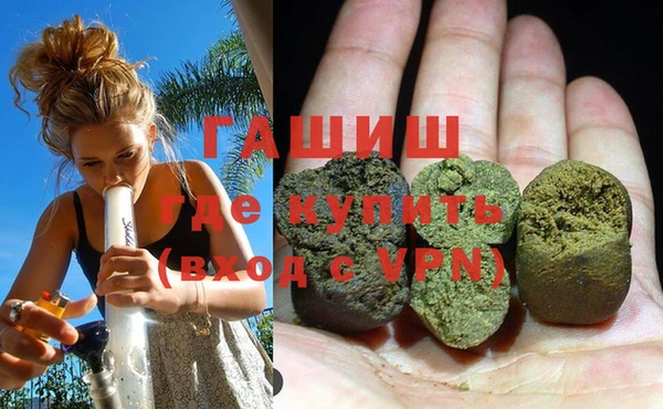 сатива Алзамай