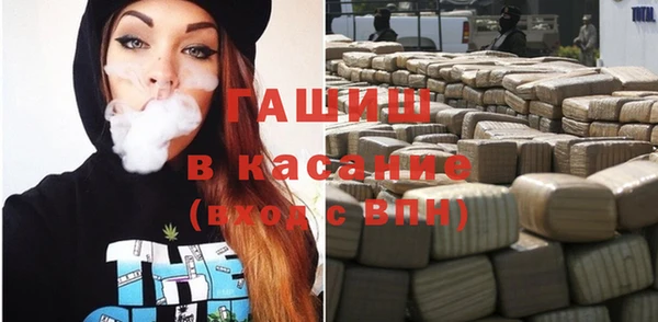 сатива Алзамай