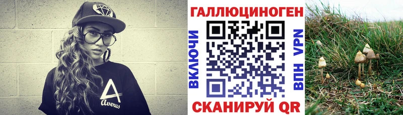 сайты даркнета телеграм Юрьев-Польский Псилоцибиновые грибы ЛСД ссылка на мегу